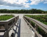 Boardwalk to the beach
