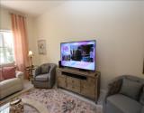 Big Flat Screen 