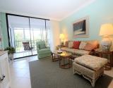 Living Room View